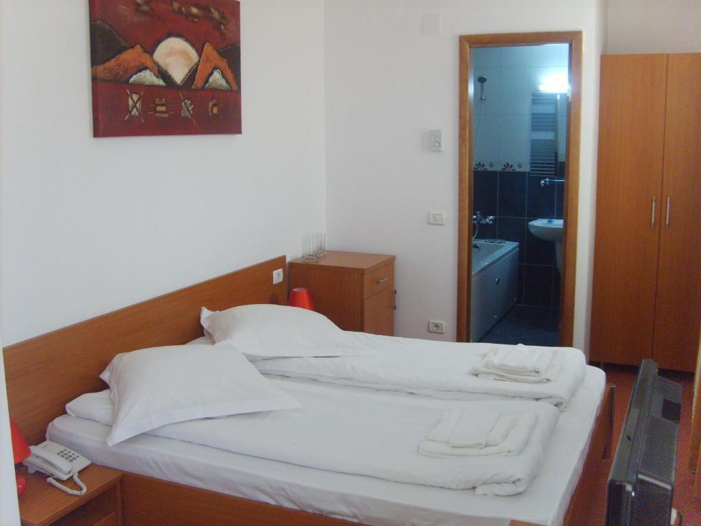 Hotel Flormang Craiova Rum bild
