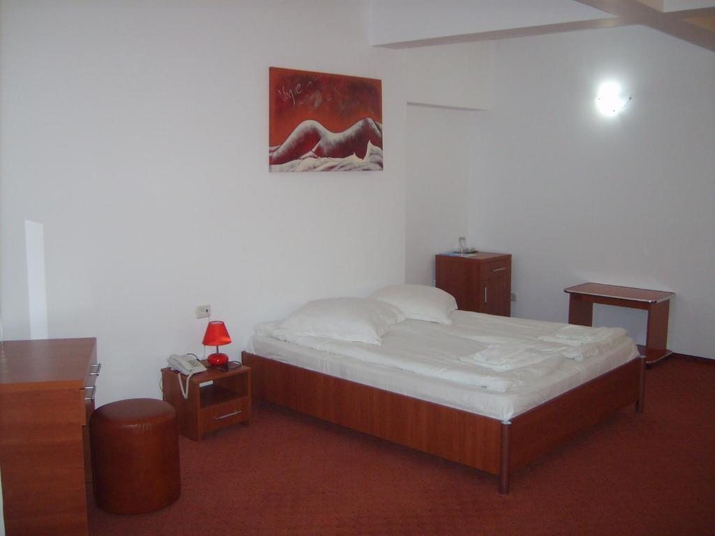 Hotel Flormang Craiova Rum bild